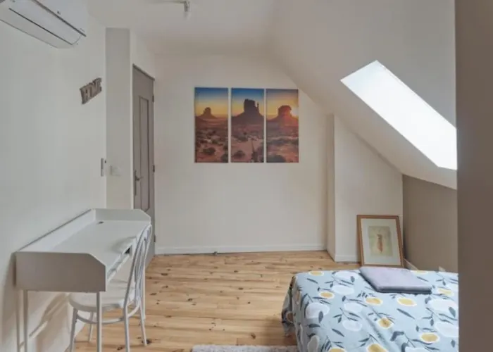 Appartement Spacieux En Centre Ville