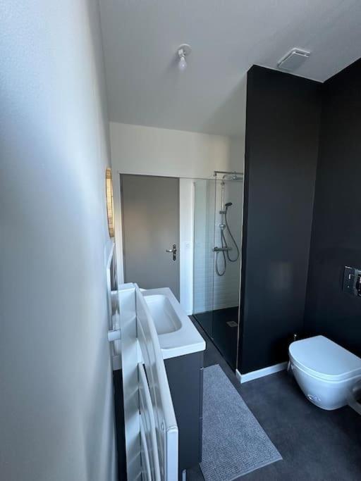 Spacieux En Centre Appartement *
