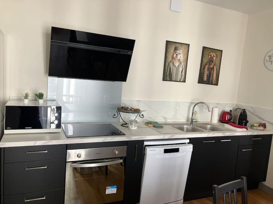 Spacieux En Centre Appartement